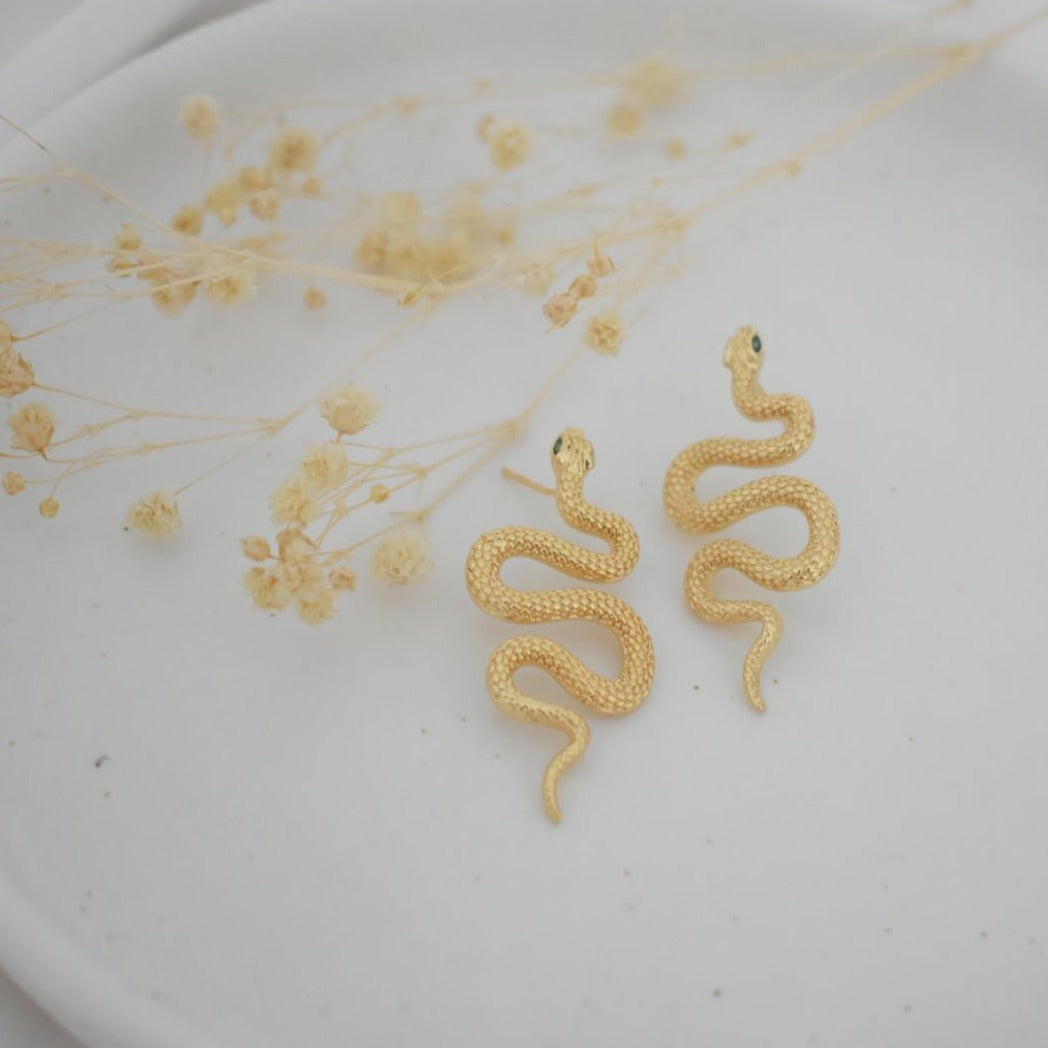 Aretes serpiente Z