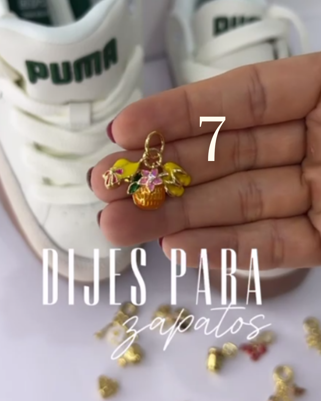 Dijes Varios y Versátiles D