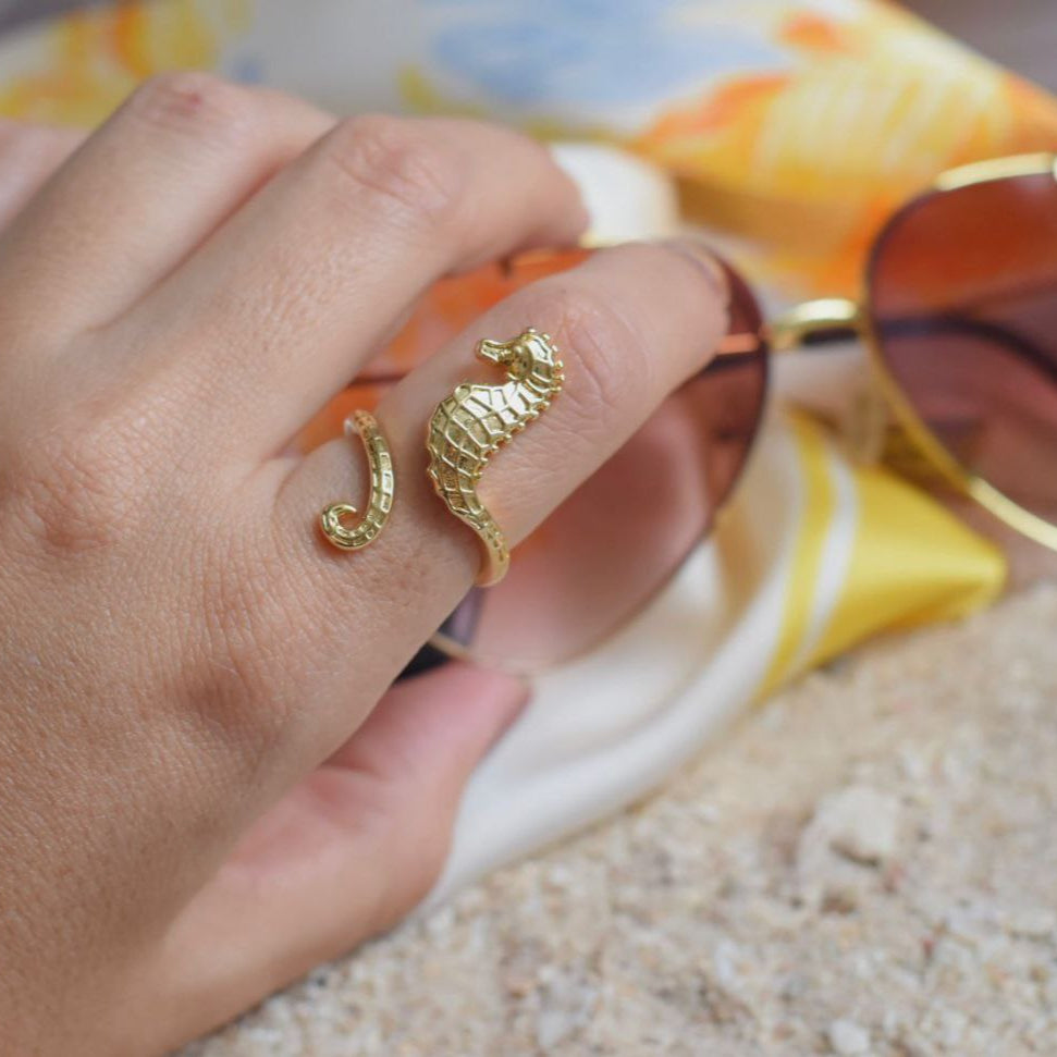 Anillos Marinos