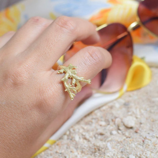 Anillos Marinos